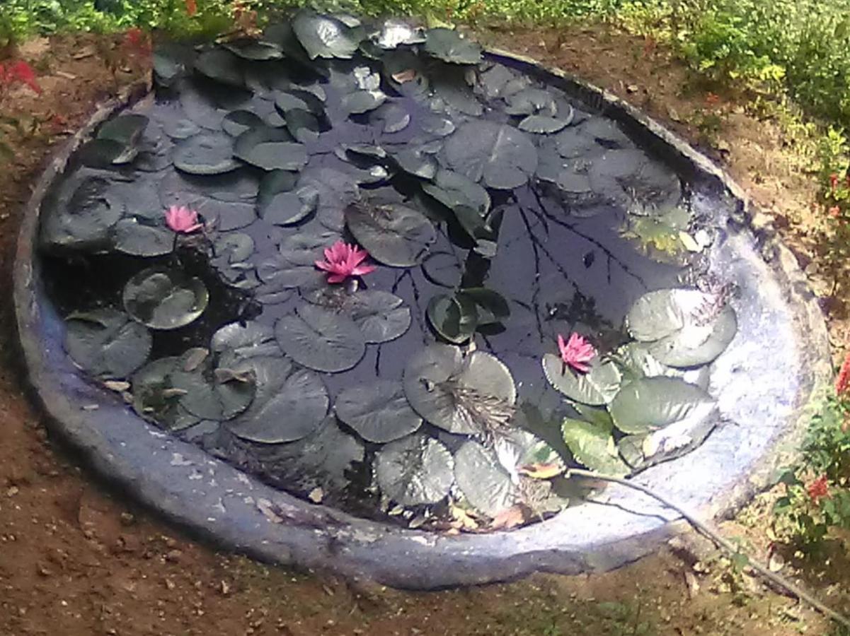 Blackcherry Munnar Exterior photo